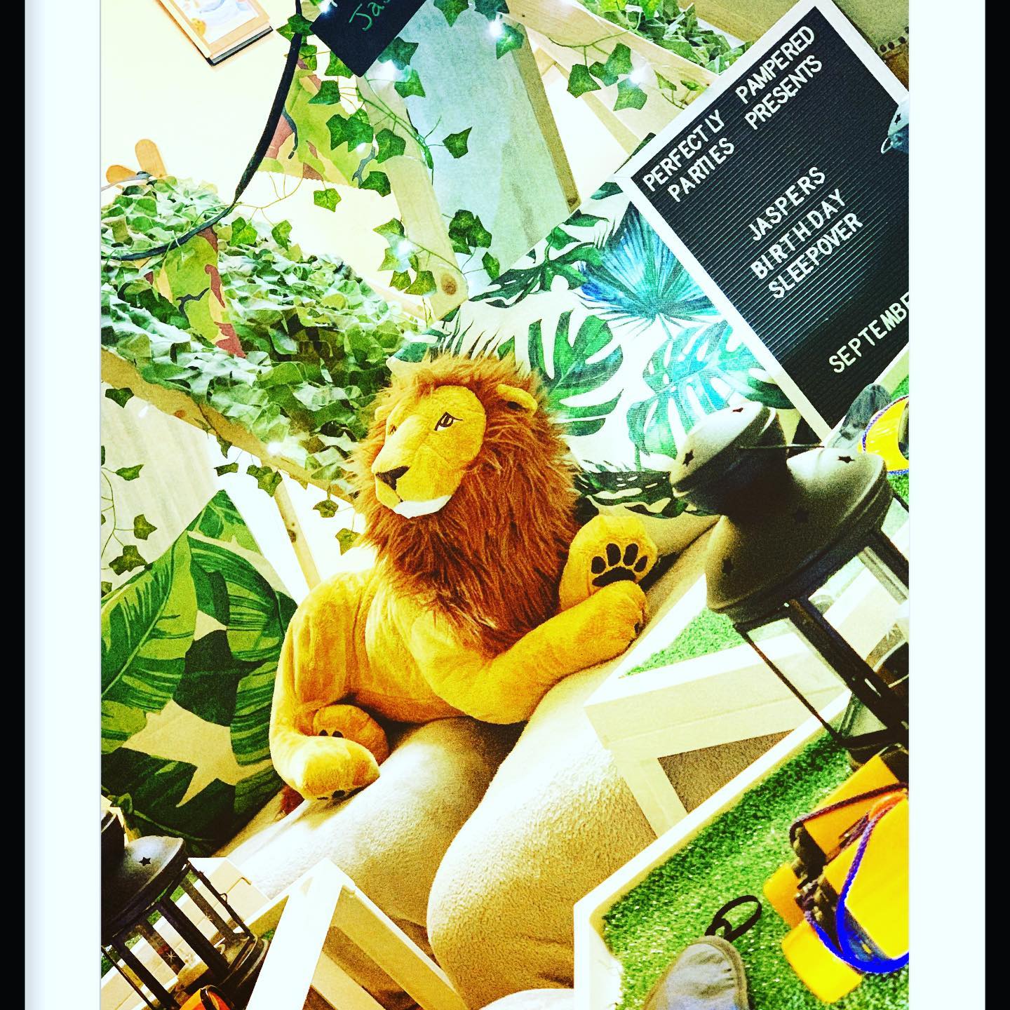 Safari theme party